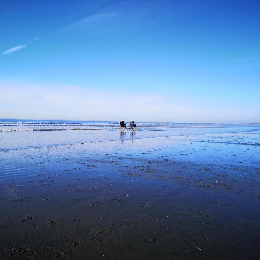 Apartment Hightide - Bracklesham Bay *